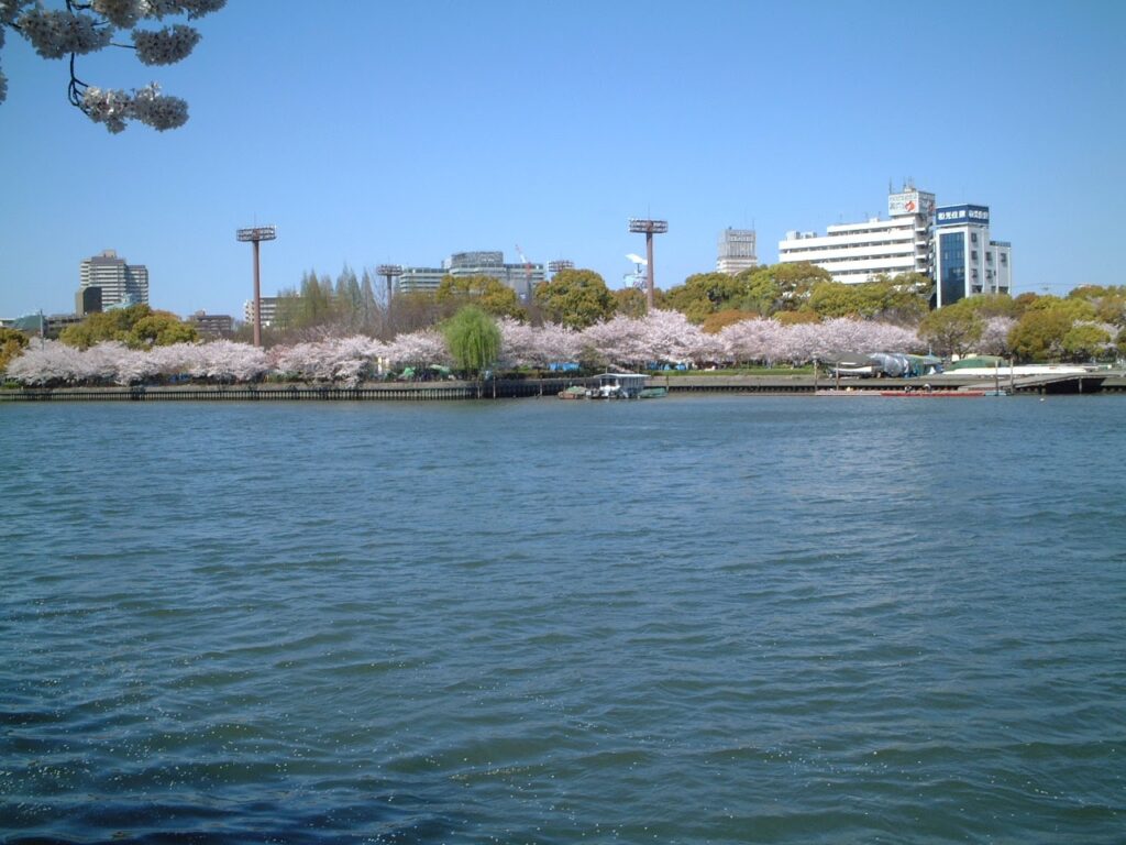 大川越しに見る桜之宮公園