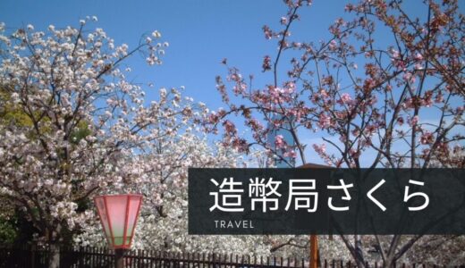 大阪で一番美しい週間！造幣局の桜並木を歩こう