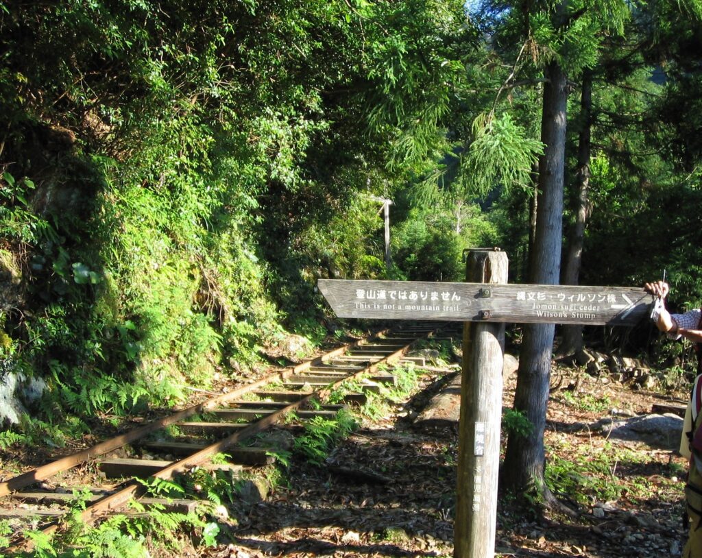 トロッコ道の分岐