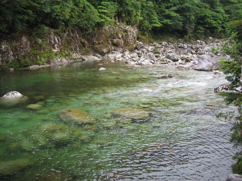 小杉谷休憩所付近の川