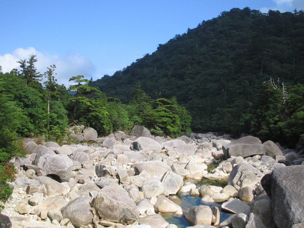 小杉橋付近の川