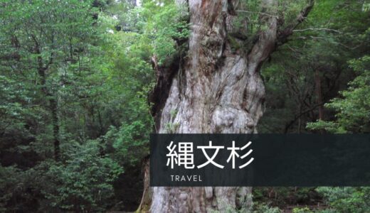 屋久島登山：荒川登山口から縄文杉への道